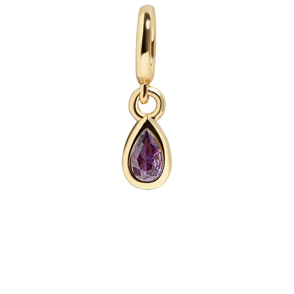 Birthstone Cluster Charm - Amethyst/Gold