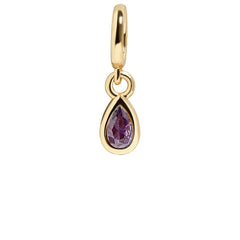 Birthstone Cluster Charm - Amethyst/Gold